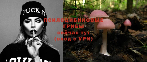 меф Няндома