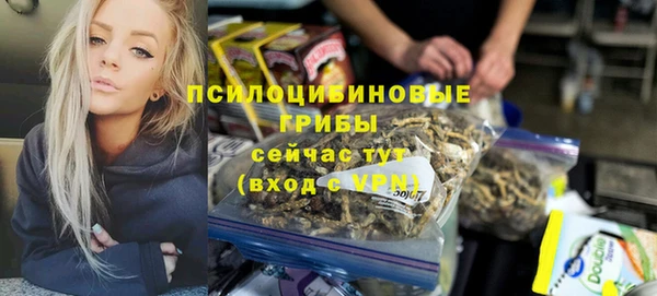 прущие грибы Абдулино