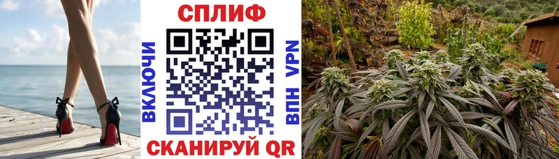 МАРИХУАНА Ganja  Нерехта 